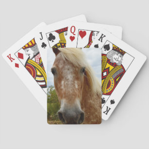"Zuckerrohr: Die Gnade der Appaloosa" Spielkarten