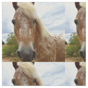 "Zuckerrohr: Die Gnade der Appaloosa" Stoff