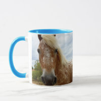 "Zuckerrohr: Die Gnade der Appaloosa"