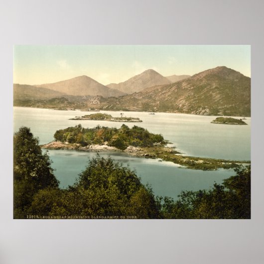 Zuckerrohrberg, Glengariff Poster (Vorne)