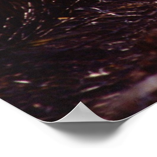 Zuckerrohrernte Poster (Ecke)