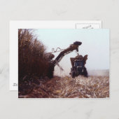 Zuckerrohrernte Postkarte (Vorne/Hinten)