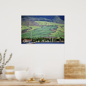 Zuckerrohrfelder - Lahaina, Maui Poster (Küche)