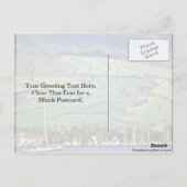 Zuckerrohrfelder - Lahaina, Maui Postkarte (Rückseite)