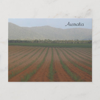 Zuckerrohrfelder — Queensland, Australien Postkarte