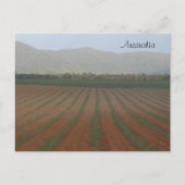 Zuckerrohrfelder — Queensland, Australien Postkarte (Vorderseite)