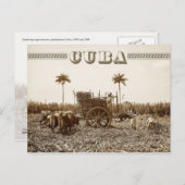 Zuckerrohrplantage in Kuba Postkarte (Vorne/Hinten)