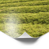 Zuckerrohrplantagen, Guyana Fotodruck (Ecke)