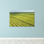 Zuckerrohrplantagen, Guyana Leinwanddruck (Insitu (Holzboden))