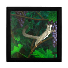 Zuckerrüben in Weintrauben