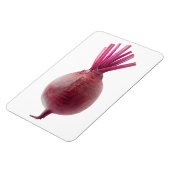 Zuckerrüben Magnet (Linke Seite)