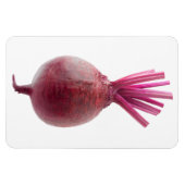 Zuckerrüben Magnet (Horizontal)