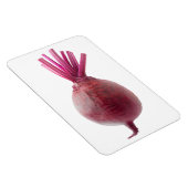 Zuckerrüben Magnet (Rechte Seite)