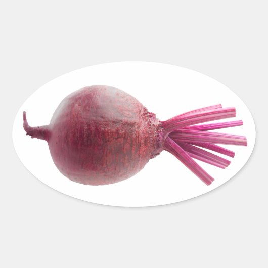 Zuckerrüben Ovaler Aufkleber (Vorderseite)