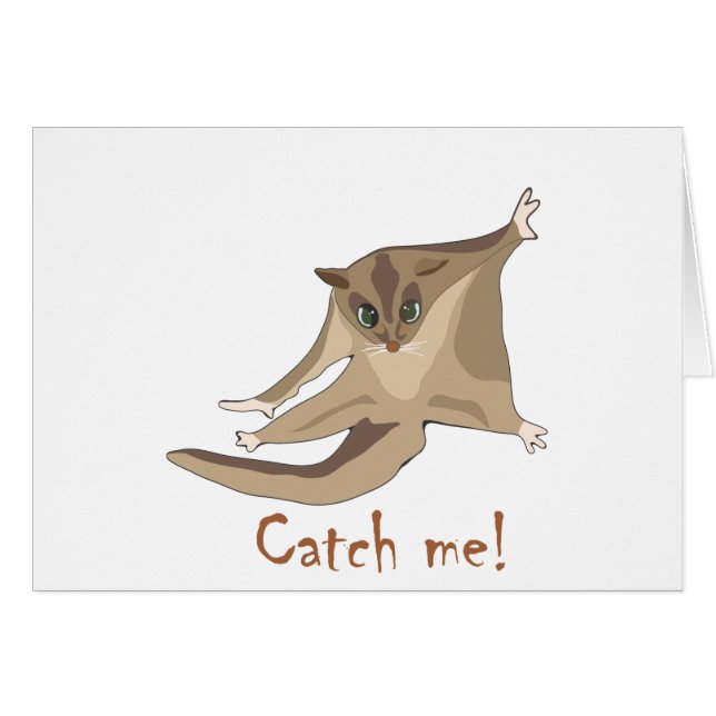 Zuckersegelflugzeug (Vorderseite (Horizontal))