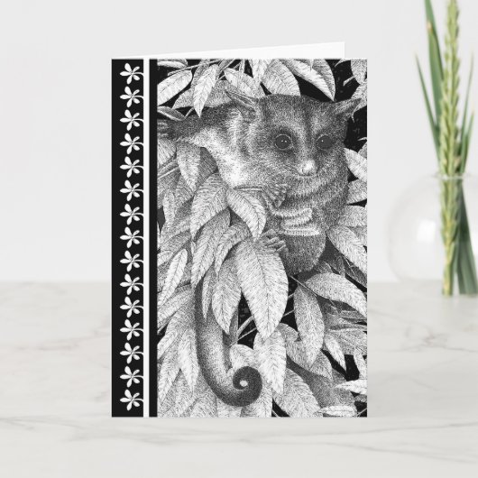 Zuckersegelflugzeug-Gruß-Karte Karte (Vorderseite)