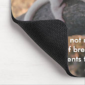 Zuckersegelflugzeug mousepad (Ecke)