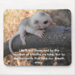 Zuckersegelflugzeug mousepad