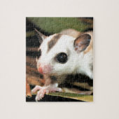 Zuckersegelflugzeug Puzzle (Vertikal)