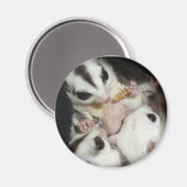 Zuckersegler-Familie mit Spaß Magnet (Vorderseite/Rückseite)