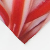 Zuckerstange-Fleece-Decke Fleecedecke (Ecke)