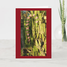 Zuckerstangekaktus Feiertagskarte