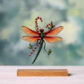 Zuckerstangen-Libelle Acrylschild (Neutral)