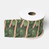 Zuckerstangenband ripsband (Spule)