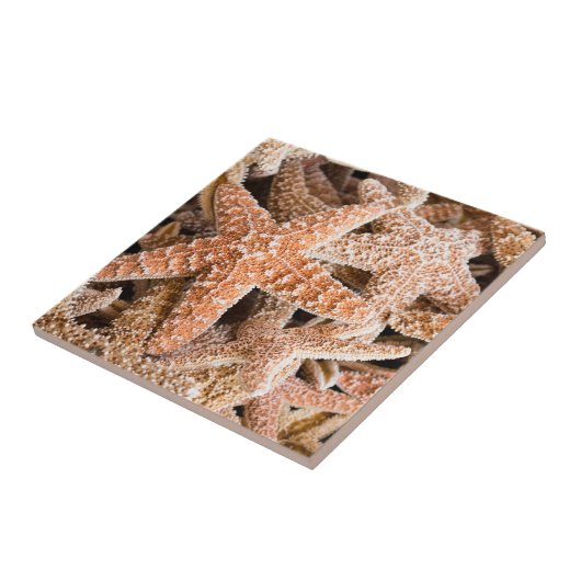ZuckerStarfish Fliese (Seite)