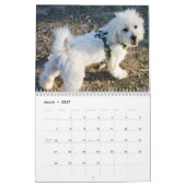 Zuckerwatte Kalender (Mär 2027)