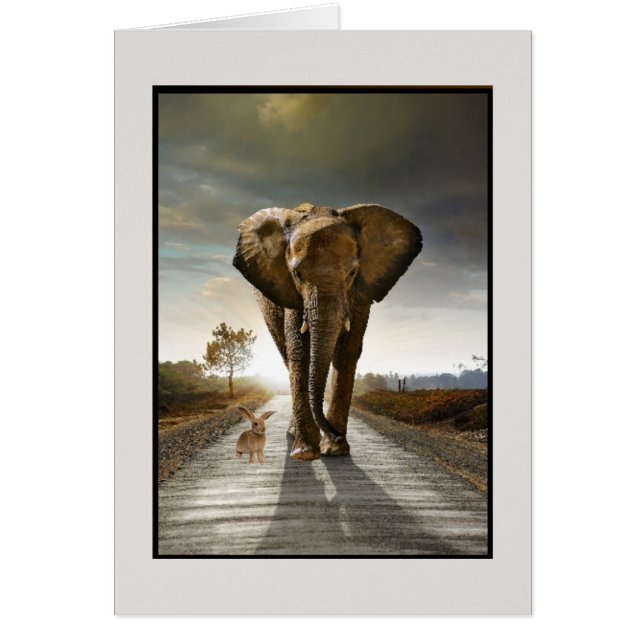 Zufällige Gedanken (Vorne)