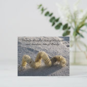 Zufällige Handlungen der Kindheit Postcard - Conch Postkarte (Stehend Vorderseite)