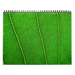 Zufalls-Naturkalender Kalender