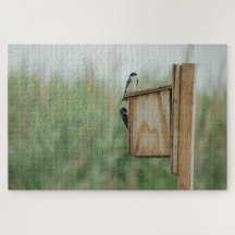 Zuflucht für die Vogelbeobachtung New Jersey Meado