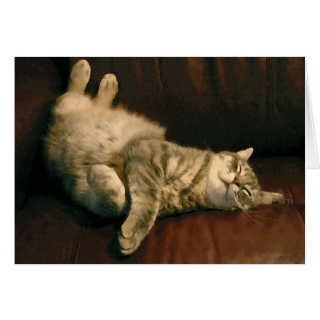 Zufrieden gestellte Miezekatze (Vorderseite (Horizontal))