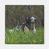 Zufriedenheit Magnet (Vorne)