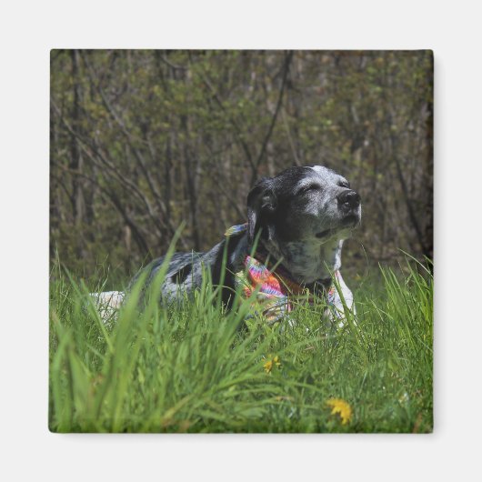 Zufriedenheit Magnet (Vorne)