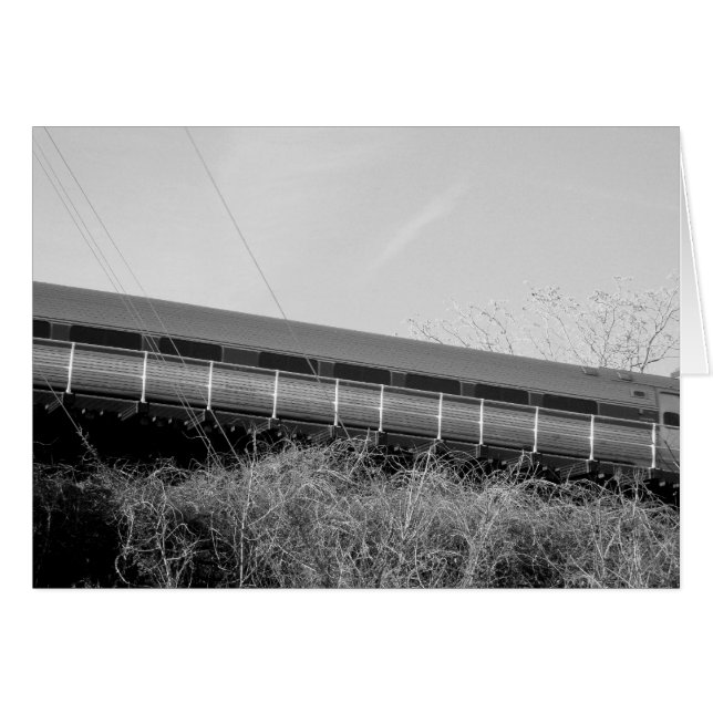 Zug (Vorderseite (Horizontal))