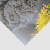 Zug 19 seidenpapier (Ausschnitt)