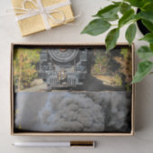 Zug 19 seidenpapier (Geschenk)