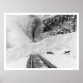 Zug Avalanche Alaska 1916 Poster (Vorne)