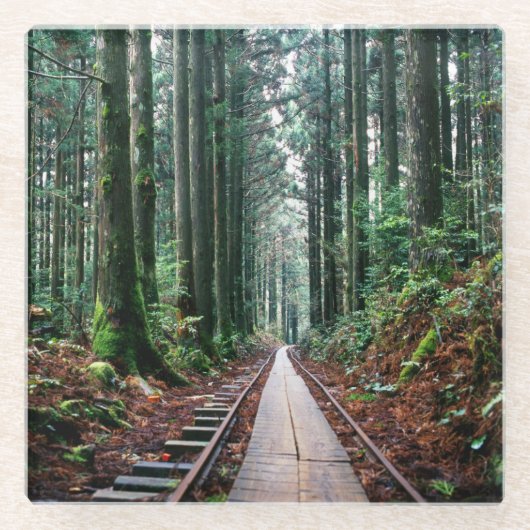 Zug-Bahnen im Wald Glasuntersetzer (Vorderseite)