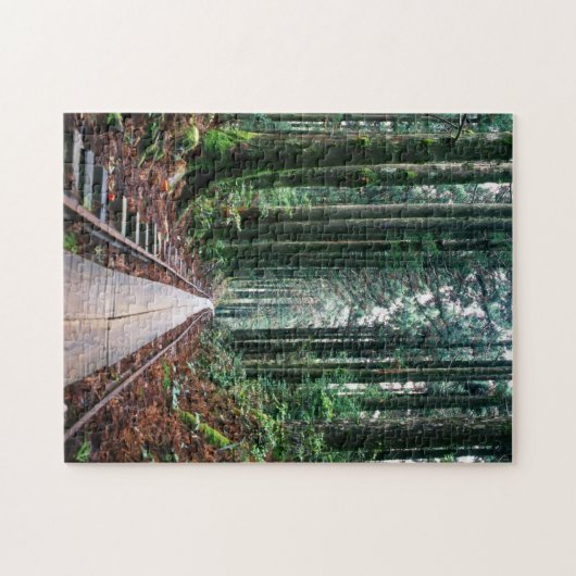 Zug-Bahnen im Wald Puzzle (Horizontal)