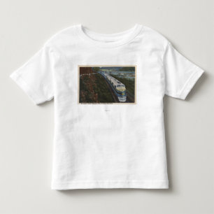 Zug, der durch Potomac glättet Kleinkind T-shirt