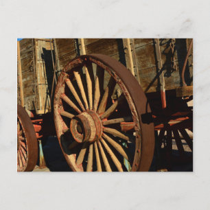 Zug für antike Maultiere Postkarte