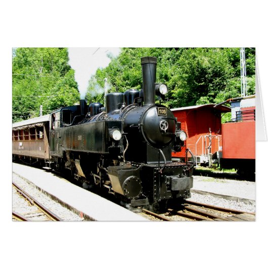 Zug im Eisenbahnmuseum Chamby (Vorderseite (Horizontal))