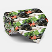 Zug im Eisenbahnmuseum Chamby Krawatte (Gerollt)