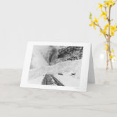 Zug-Lawine Alaska 1916 Karte (Gelbe Blume)