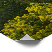 Zug oberhalb des Barron Falls Poster (Ecke)