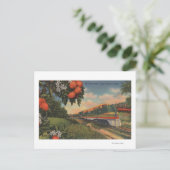 Zug - Orange Blossom Special Postkarte (Stehend Vorderseite)